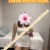 Üstünde Durmaksızın Zıplayan Mersin Escort